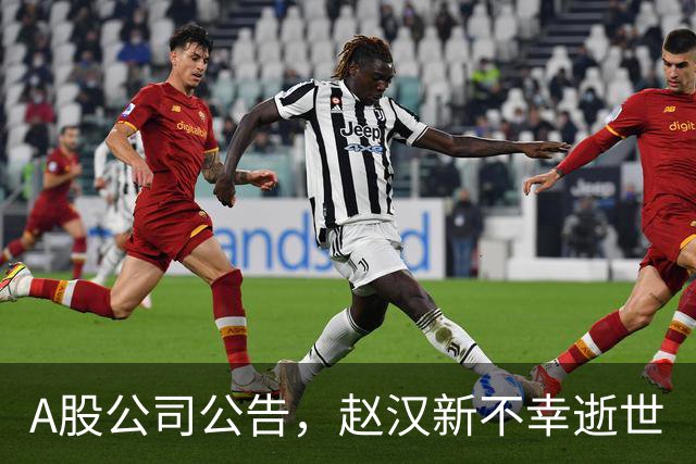 A股公司公告,赵汉新不幸逝世